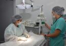 Centro de Castração PATA completa 1 ano com mais de 5 mil castrações gratuitas em Aparecida